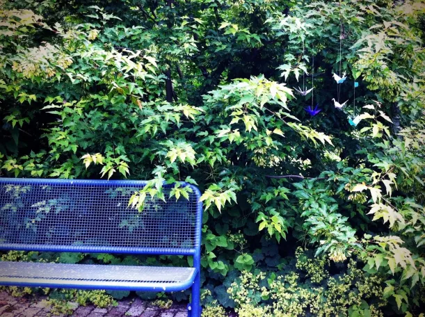 20120610-175222.jpg