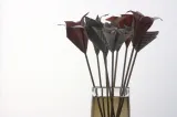 Origami flowers - foldyouso.com