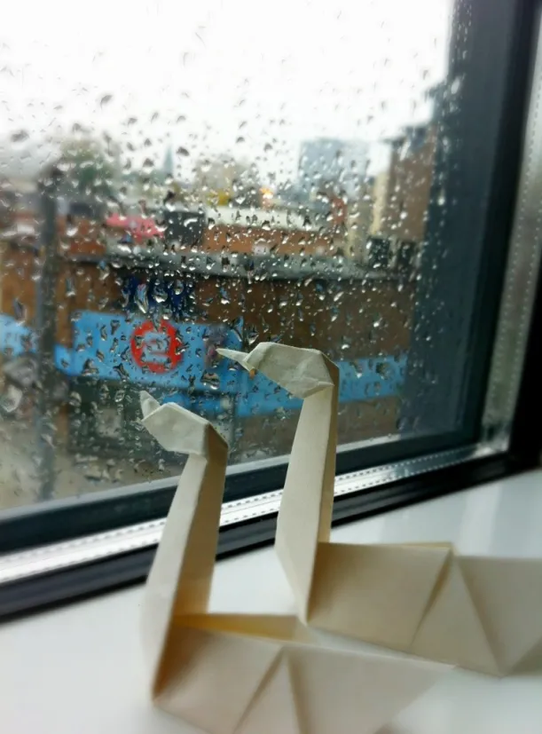 20121009-165717.jpg