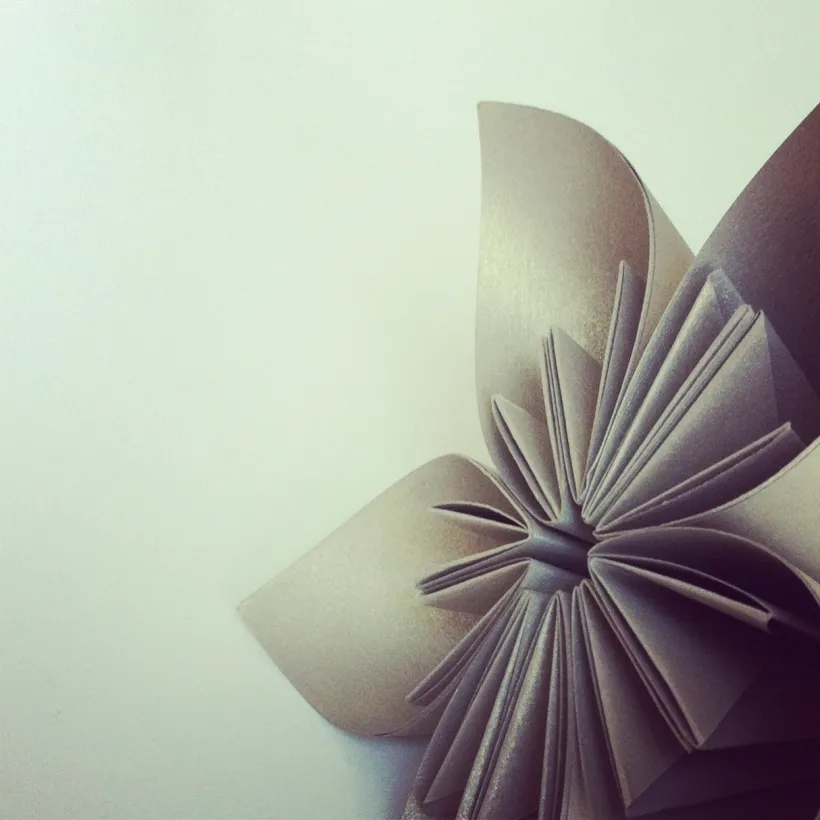 Nærbilde av en stor grå origamiblomst mot en enkel lys vegg, mykt og minimalistisk uttrykk.