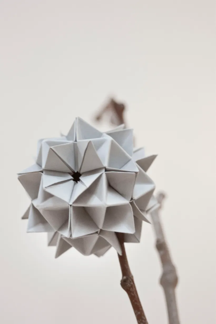 SpikyBall_1