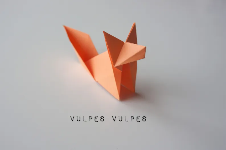 VulpesVulpes