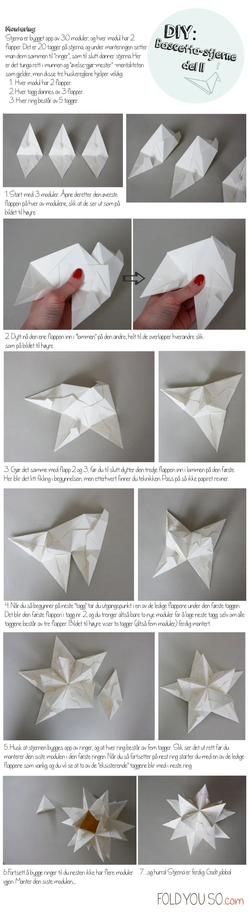 DIY-Bascetta-del21418